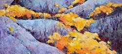 Wild Flowers - Postberg | 2025 | Oil on Canvas | 36 x 51 cm